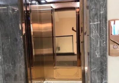 IMG_20250227_51716-1