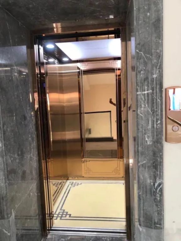 Panoramic capsule lift elevator by Home lift elevator