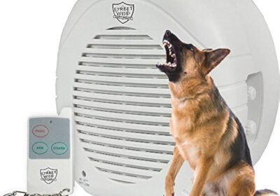 51eo3-ITCTL._AC_UF10001000_QL80_-2