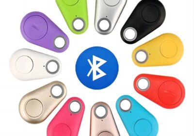 IMG_20250228_35106-1