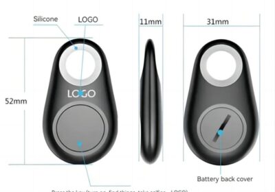 IMG_20250228_35824-1