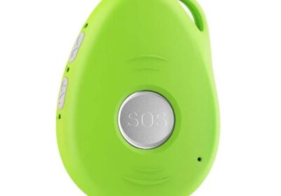 IMG_20250228_36539-1