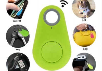 IMG_20250228_38862-1