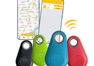 IMG_20250228_39598-1