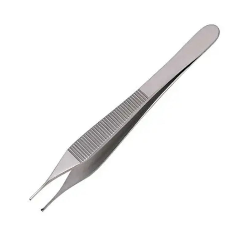 Blunt Forceps by Scantrik
