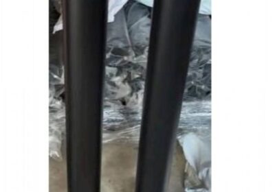 IMG_20250312_54587-1