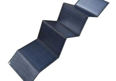 IMG_20250313_17492-1