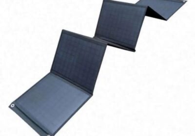 IMG_20250313_37918-1