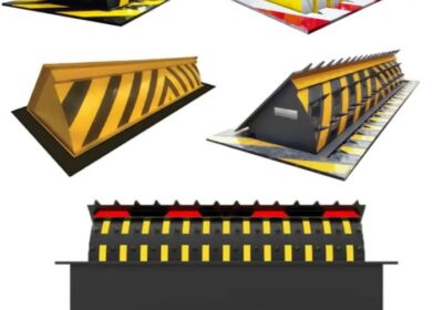 IMG_20250313_47181-1