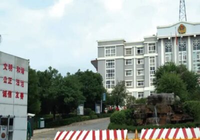 IMG_20250313_48463-1