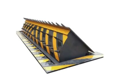 IMG_20250313_48977-1