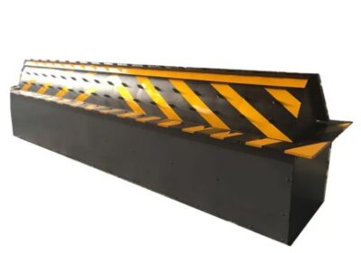 IMG_20250313_49875-1