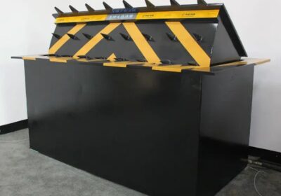 IMG_20250313_51905-1