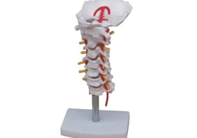 IMG_20250314_24358-1