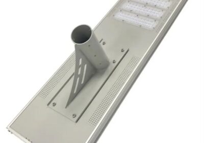 IMG_20250314_30164-1