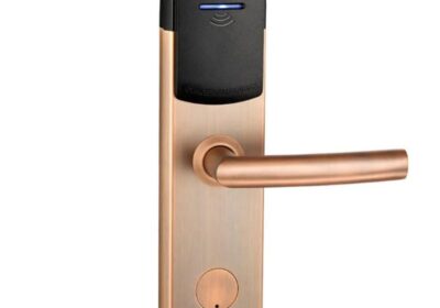 IMG_20250315_58588-1