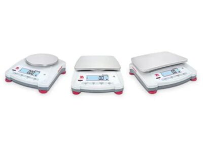 IMG_20250318_17462-1