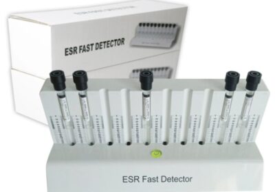 IMG_20250319_32699-1