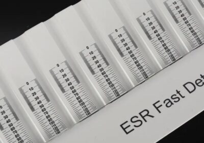 IMG_20250319_33110-1