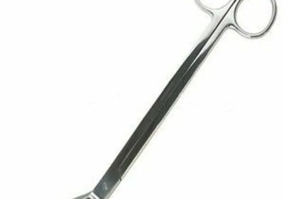 IMG_20250319_34989-2