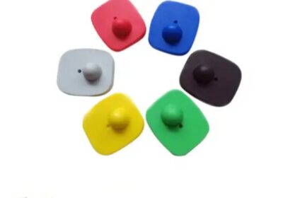 IMG_20250320_54303-2