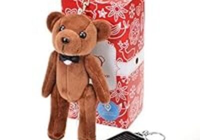 IMG_20250320_58246-1