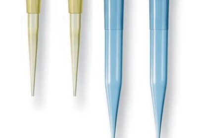 IMG_20250321_45661-1