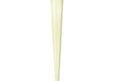 IMG_20250321_46372-1