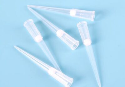 IMG_20250321_46671-1