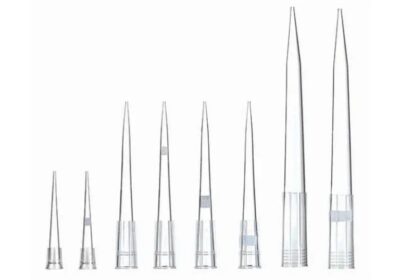 IMG_20250321_46999-1