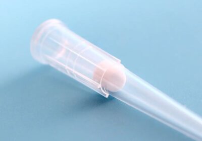 IMG_20250321_47286-1