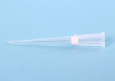 IMG_20250321_47609-1