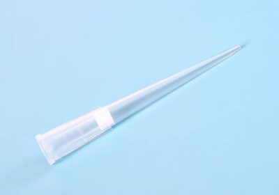 IMG_20250321_47894-1