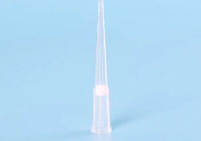 IMG_20250321_48182-1