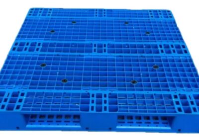 IMG_20250325_56415-1