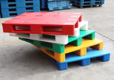 IMG_20250325_56753-1