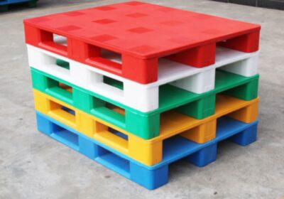 IMG_20250325_57100-1