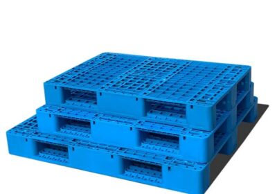 IMG_20250325_57880-1