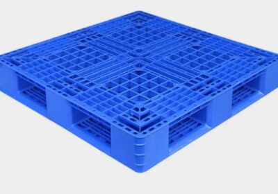 IMG_20250325_58265-1