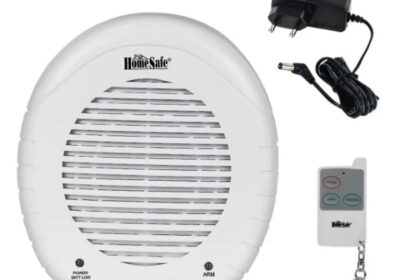 IMG_20250326_51179-1