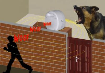 IMG_20250326_56435-1