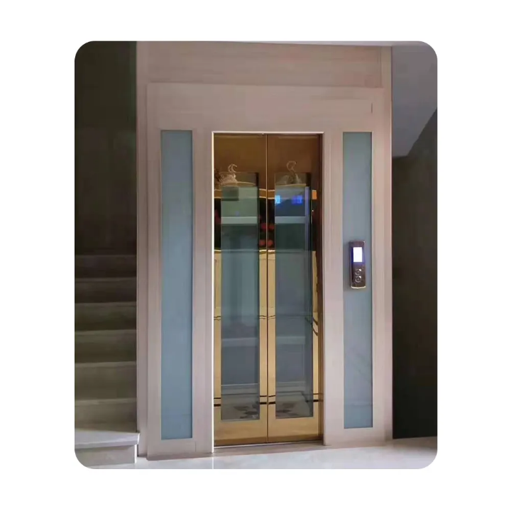 Residential 3-Stop Twin Passenger Lift by Home lift elevator