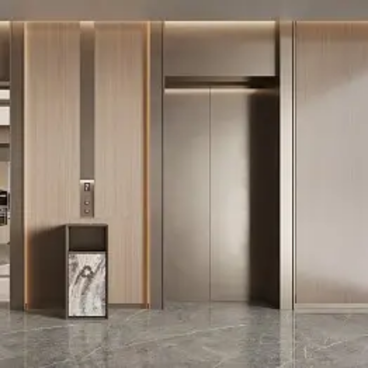 3 Stop 320kg Indoor Stainless Steel Elevator System by Home lift elevator