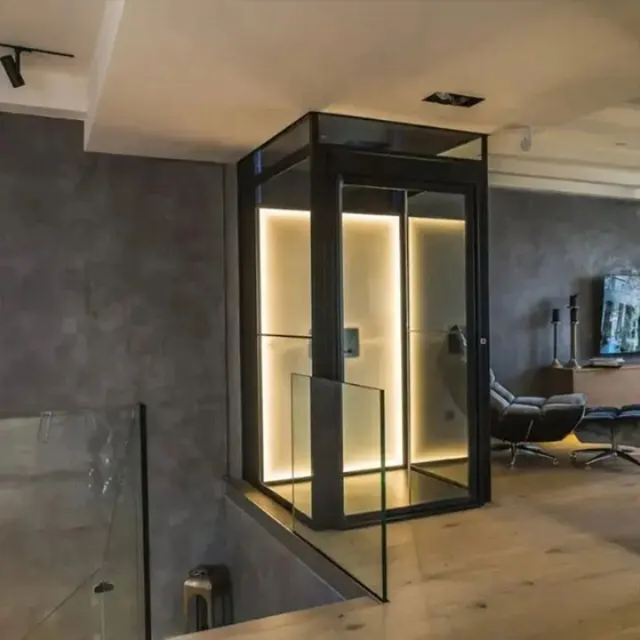 Easy-Install Home Elevator by Home lift elevator