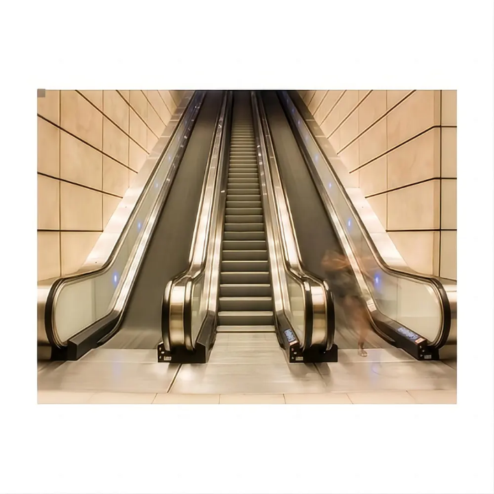 Commercial Property Escalator Solutions by Home lift elevator