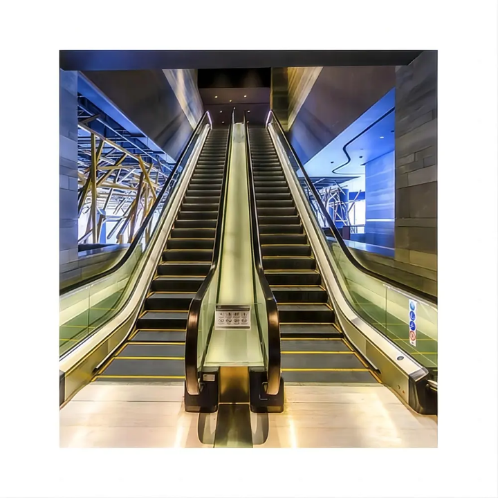 Public Building Escalator Systems by Home lift elevator