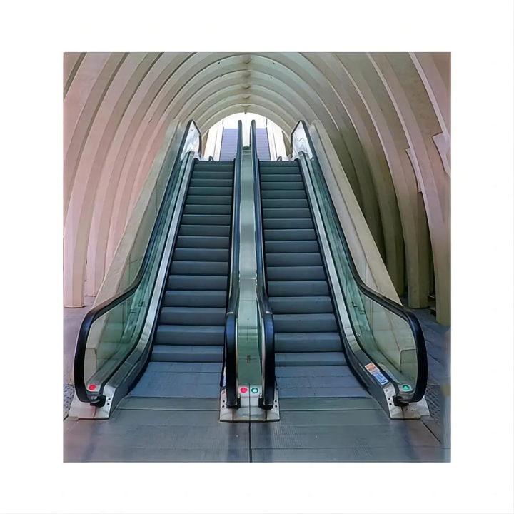 Public Access Escalators by Home lift elevator