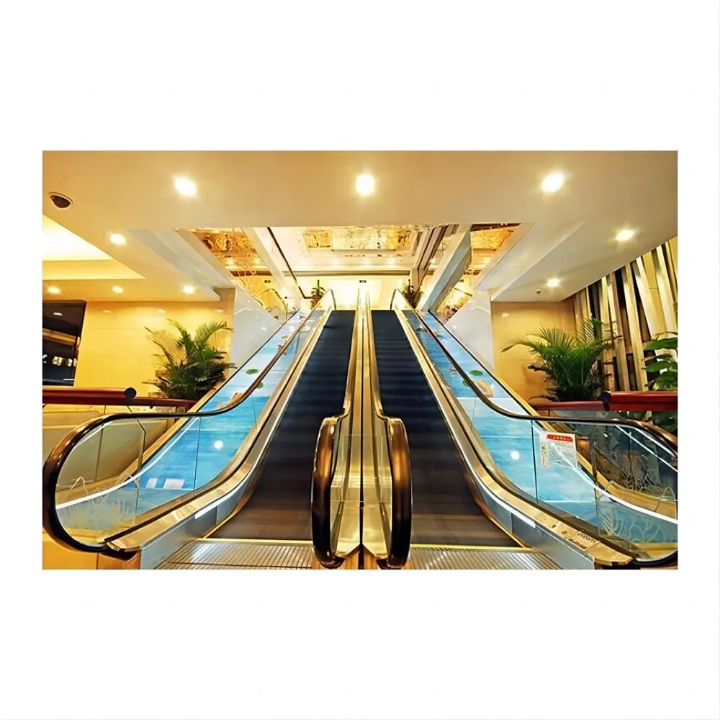 Heavy-Duty Commercial Escalators by Home lift elevator