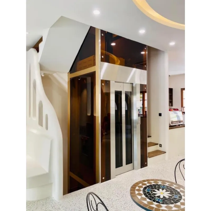 See-Through Residential Elevator by Home lift elevator