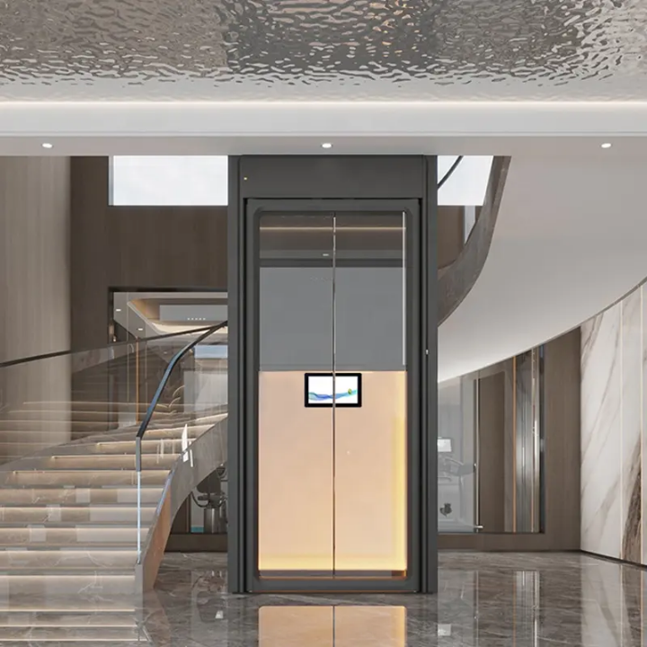 Frameless Home Elevator by Home lift elevator